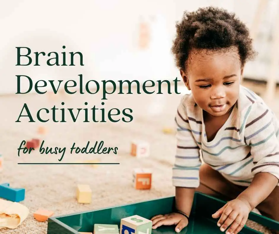 brain development for toddlers