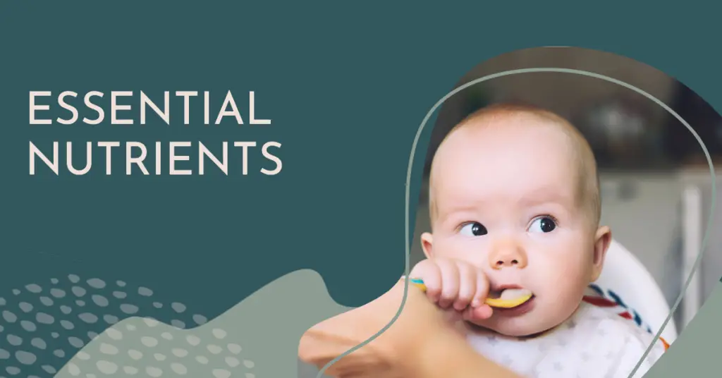Essential Nutrients- A Guide to Vitamin and Mineral Requirements for Babies
