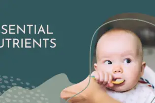 Essential Nutrients- A Guide to Vitamin and Mineral Requirements for Babies
