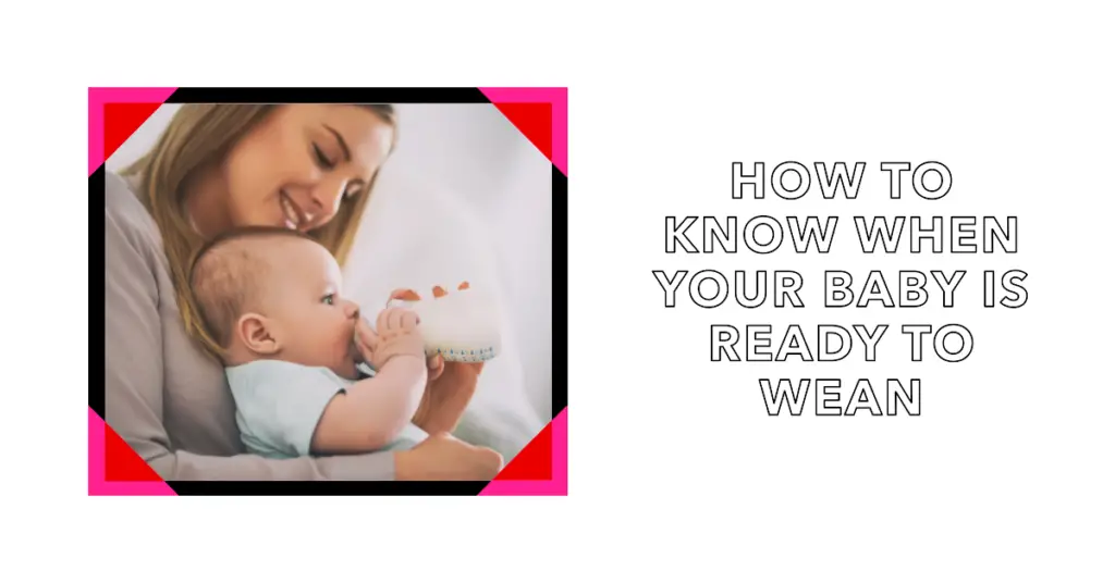 How to Know When Your Baby Is Ready to Wean